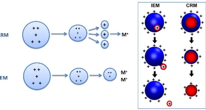 Figure 1.10 – The two possible mechanisms for the production of gas-phase ions in ESI (CRM and IEM)