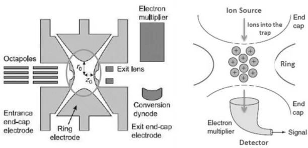Figure 1.13 – Trajectory of the ions trough the ion trap. (Adapted from references [39] and [45])