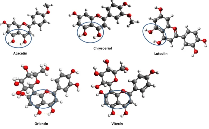Figure 3.2 – Optimized structures of the five flavones protonated at position 4 C=O group instead of at position  5 OH group