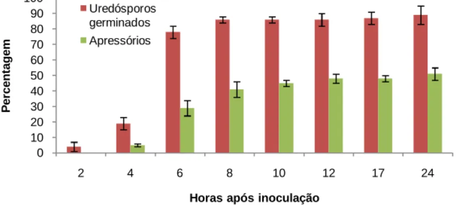 Fig. 3. 8 – Percentagem (± desvio padrão) de uredósporos germinados e de apressórios  diferenciados  por  Hemileia  vastatrix  em  folhas  de  HDT  832/2,  em  diferentes  tempos  após inoculação