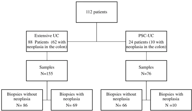 Figure 9 – Distribution of patients and samples per group. Samples correspond to either biopsies,  tissue microarrays or surgical specimens