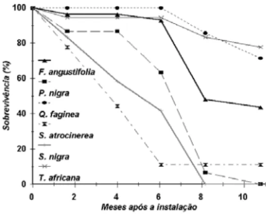 Figura 2 -  Variação com o tempo das taxas de sobrevivência das espécies instaladas no ensaio de Valverde II