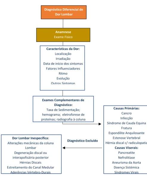 Figura  7 –  Diagnóstico  Diferencial  na  Lombalgia  aguda  adaptado de  NICE Low Back  Pain  and Sciatica  in  over  16s :  Assessment and Management, 2016 33