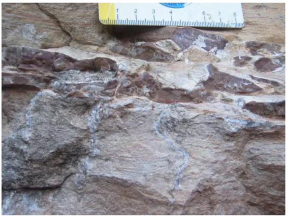 Figure III.8 - Pink Carbonate Facies and Corumbataí Formation in Alto Garças – MT. 