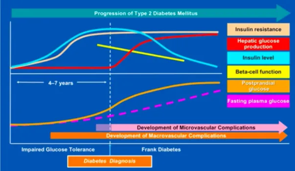Figure 1. 4. Natural history of type 2 diabetes. The prediabetic state of impaired glucose  tolerance is characterized by increasing insulin resistance, compensatory hyperinsulinemia,  and mild postprandial hyperglycemia