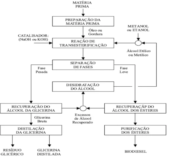 Figura 10: Fluxograma genérico da produção de biodiesel. 