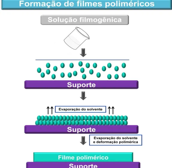 Figura 16. Processo de formação de filmes poliméricos pelo método de evaporação  do solvente (Fonte: Adaptado de FELTON, 2013; SIEPMANN et al., 2008)