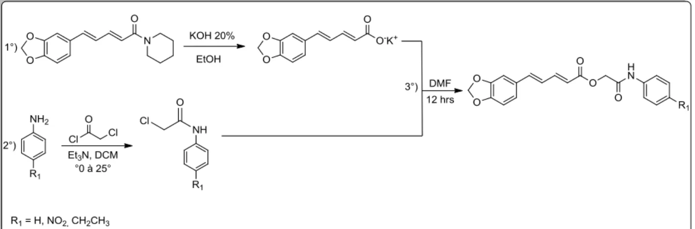 Figura 2. Reação de obtenção dos derivados da piperina.  