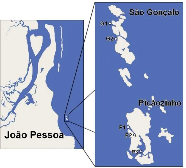 Figura 10. Ambientes recifais objetos de estudo em João Pessoa/PB. Os pontos indicam as estações  de coleta em Picãozinho (P1, P2 e P3) e São Gonçalo (G1 e.G2)