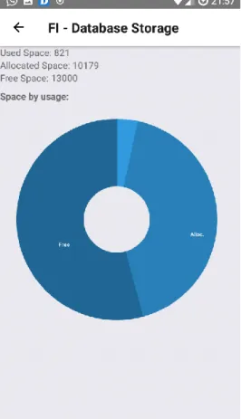 Figura 11 - “Storage Summary” 