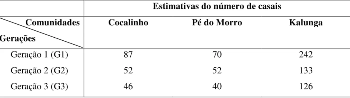 Tabela  2.1  Estimativas  do  número  de  casais,  por  geração  (G1  -  avós,    G2  -  pais  e  G3  –  respondentes), nas comunidades quilombolas