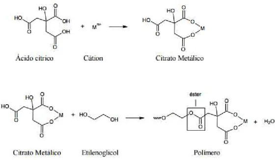 Figura 2. Representação das reações que ocorrem no método Pechini (OLIVEIRA, 2013). 