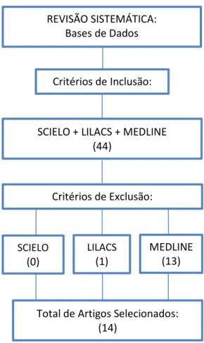 Figura 1: Fluxograma critérios de inclusão e exclusão dos artigos utilizados na revisão  sistemática