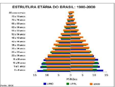 Gráfico 1: Pirâmide da estrutura etária do Brasil 1980-2000 