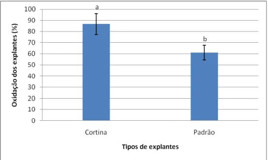 Figura 7. Percentuais de oxidação em explantes foliares (padrão – sem seccionamento e  cortina – com seccionamento) de macaúba (Acrocomia aculeata), após 90 dias em meio  de  indução  de  calos