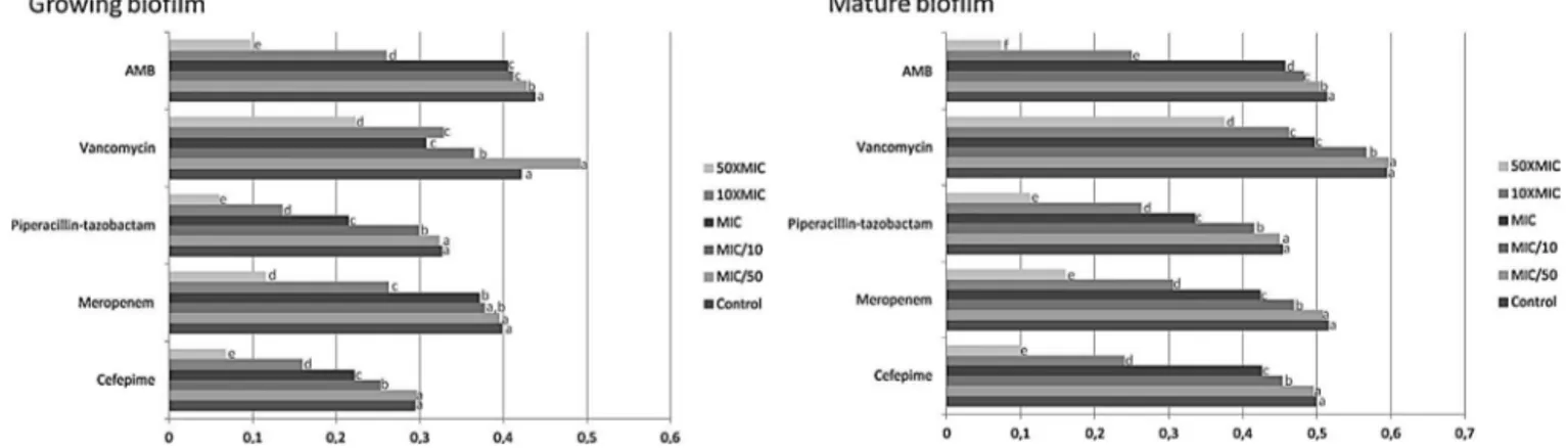 Fig. 1. Effect of different concentrations of cefepime, meropenem, piperacillin/tazobactam, vancomycin and amphotericin B (AMB) on the metabolic activity of growing and mature biofilms of Candida spp