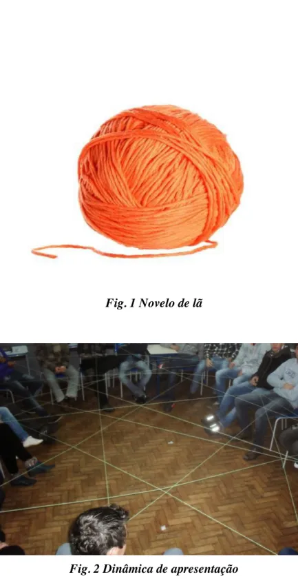 Fig. 1 Novelo de lã 