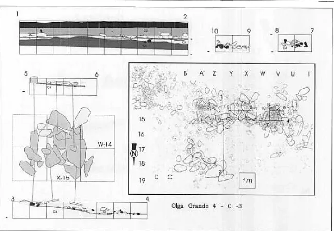 Fig.  2 -Répartition  des  éléments  de  plus  de  5 cm  de  Ia couche  3 du  site  de  Olga  grande  4  et coupes  stratigraphiques.