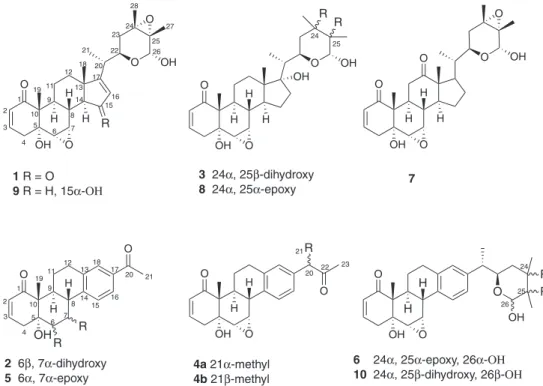 Figure 1. Structures of the withanolides (1-10) isolated from Nicandra physalodes.