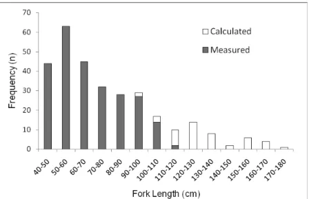 Figure  3 – Fork length frequency distribution of the yellowin tuna, Thunnus albacares,  caught in the Western Equatorial Atlantic.