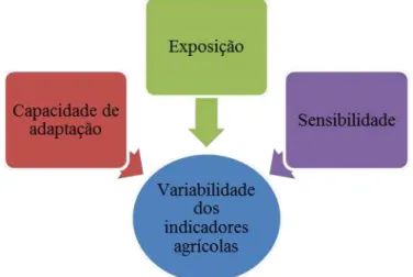 Figura 1. Variabilidade dos indicadores agrícoas como reflexo da vulnerabilidade. 