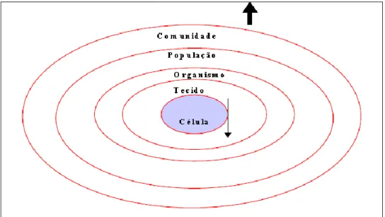 Figura 3: O conceito de hierarquias de sistemas  Fonte: CASTRO et al, (2002). 
