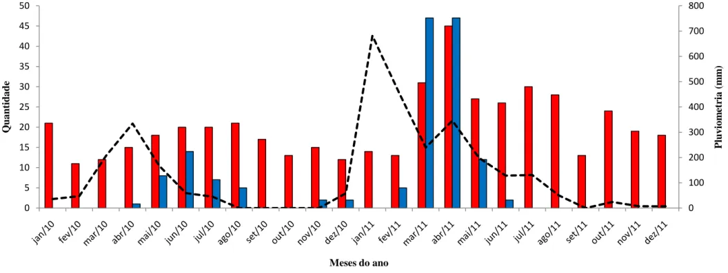 Figura 4: Distribuição mensal do volume de chuvas, casos de pneumonias totais e positivas para VSRh nos anos de    2010 e 2011.