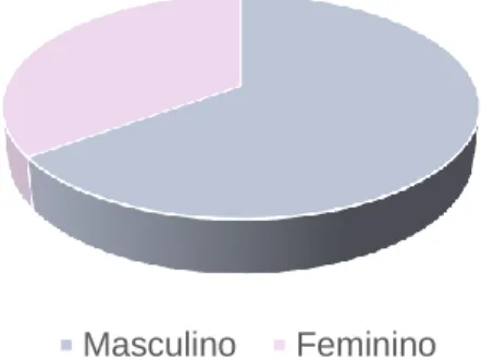 Figura 6 - Distribuição da turma quanto ao sexo 