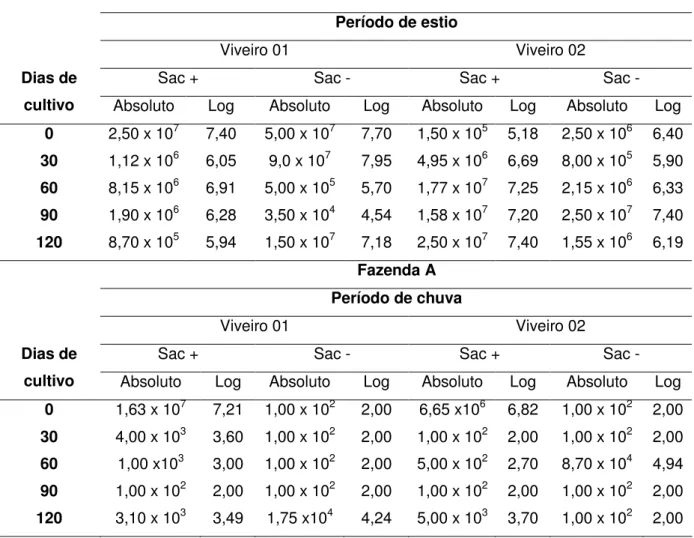 Tabela  2   –  Média  absoluta  e  logaritmizada  (log 10 )  das  contagens  de  colônias  sacarose  positiva  e  negativa,  expressa  em  Unidade  Formadora  de  Colônias(UFC/mL),  de  Vibrio  em  amostras  de  água  de  dois  viveiros,  durante  os  perí