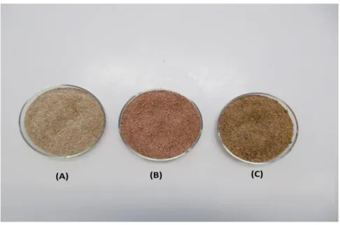 Figura 10 - Amostras de eucalipto EU: (A) eucalipto em seu estado bruto; (B) eucalipto após pré- pré-tratamento ácido; (C) eucalipto após pré-pré-tratamento ácido e seguido do alcalino