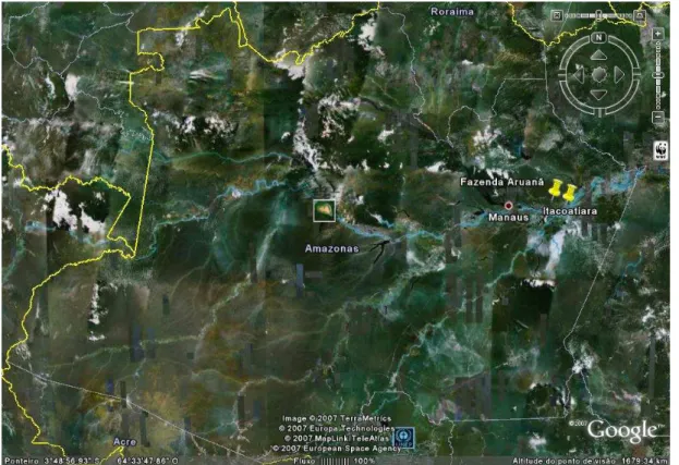 Figura 2: Localização da Fazenda Aruanã em mapa de satélite do Estado do Amazonas, Brasil.