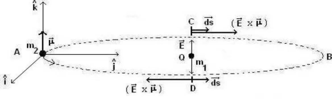 Figura 5-9: Diagramas de comportamento do vetor deslocamento e do vetor composto pelo campo elétrico e pelo momento de dipolo magnético.
