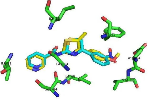 Figura 28 - Resultados de docking dos ligantes 63210 (azul claro) e 73286 (amarelo) com a estrutura 2AQ8  usando o programa MVD e função score moldock