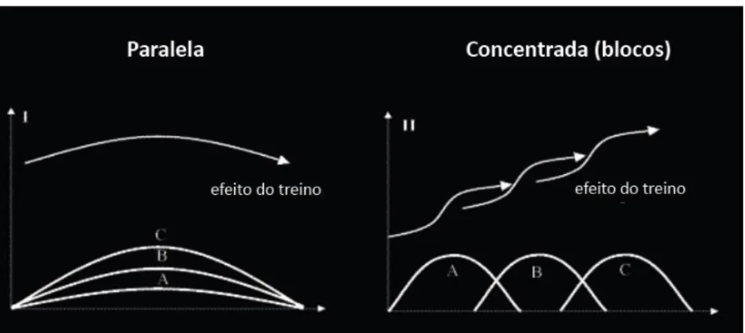 Figura  6  -  Comparação  entre  os  efeitos  do  treino  do  modelo  de  periodização  tradicional  (à  esquerda) e do modelo não-tradicional (à direita) (adaptado de Issurin, 2008)