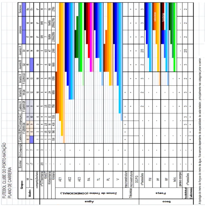 Figura 9. Plano de Carreira - Futebol Clube do Porto Natação. 