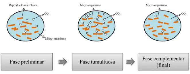 Figura 2.2 – Fases observadas durante a fermentação alcoólica conduzido em batelada 