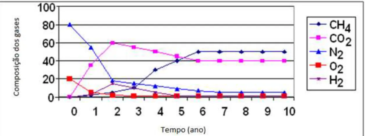 Figura 1-  Composição dos gases no aterro. 