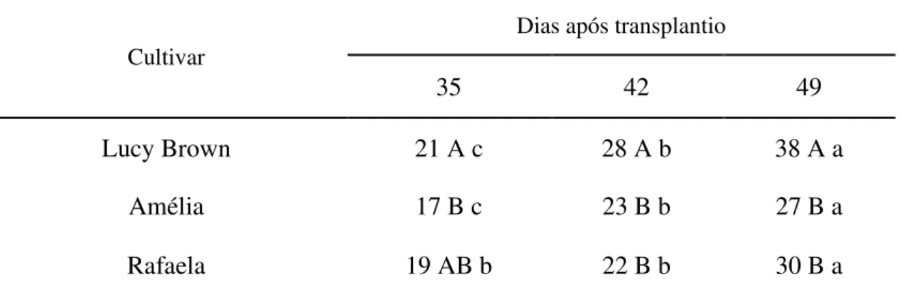 TABELA  7  -  Médias  do  número  de  folhas  de  três  cultivares  da  alface  americana  em  três épocas de colheita