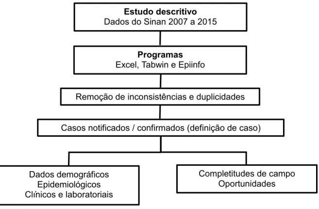 Figura 8. Fluxograma metodológico do primeiro capítulo Estudo descritivo 