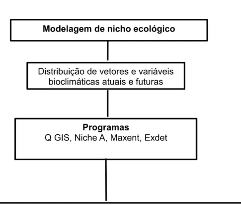 Figura 10. Fluxograma metodológico do terceiro capítulo Modelagem de nicho ecológico 