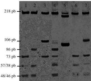 Figura 6. Genotipagem para o marcador genético HLA-G*0105N. Poço 5: padrão  de 100 pb; poços 1, 3, 6 e 7: indivíduos homozigotos para o alelo normal; poços 2  e 4: indivíduos heterozigotos para o alelo nulo (G*0105N)