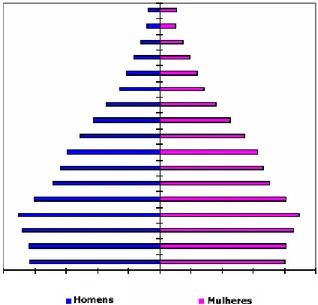 Figura  8.  Pirâmide  etária  da  população  brasileira  (fonte:  IBGE,  Censo  2000)