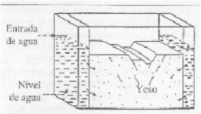 Figura 19. Inmersión del modelo en yeso en una tina con agua. 