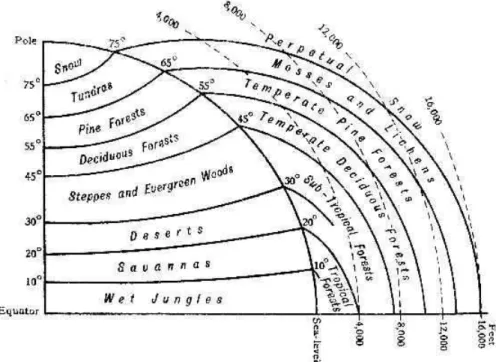 Figura   2  –  Diagrama   das   zonas   latitudinais   (y),   altitudinais   (x)   e   respectivas  fisionomias vegetais do globo terrestre