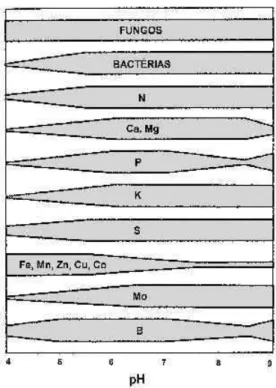 Figura 4. Variação na atividade microbiológica e na  disponibilidade de macro e micronutrientes no solo  em função do pH