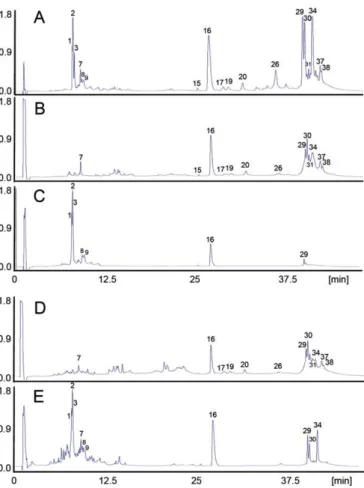 Fig. 5 – Second generation antivenomics analyses of B. erythromelas venom. Panel A, RP-HPLC separation of the venom proteins of B