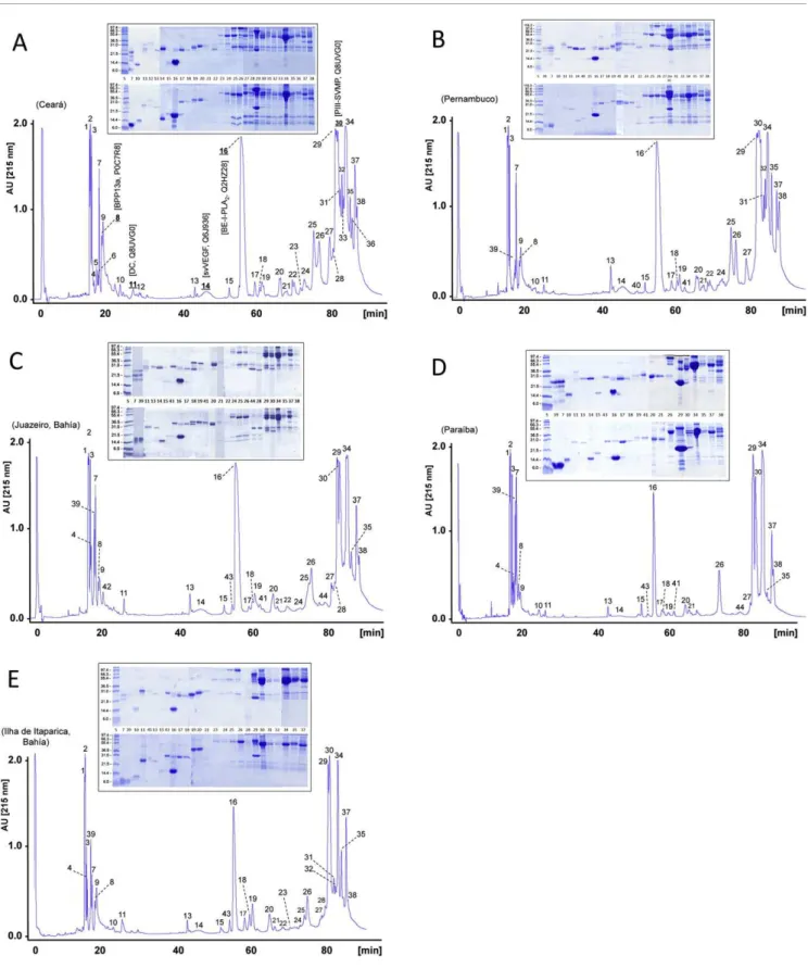 Fig. 3 – Characterization of the venom proteomes of B. erythromelas. Panels A-E display reverse-phase HPLC separations of the proteins of B
