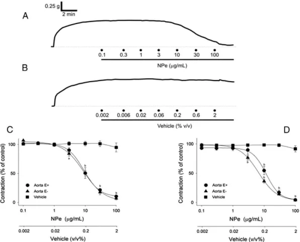 Fig. 2.Typical trace recordings of the effect of 1-nitro-2-phenylethene (NPe, 0.1–100 μg/mL) (A) and its vehicle (B) on the sustained contractions induced by 60 mM KCl in isolated aortic preparations from normotensive rats