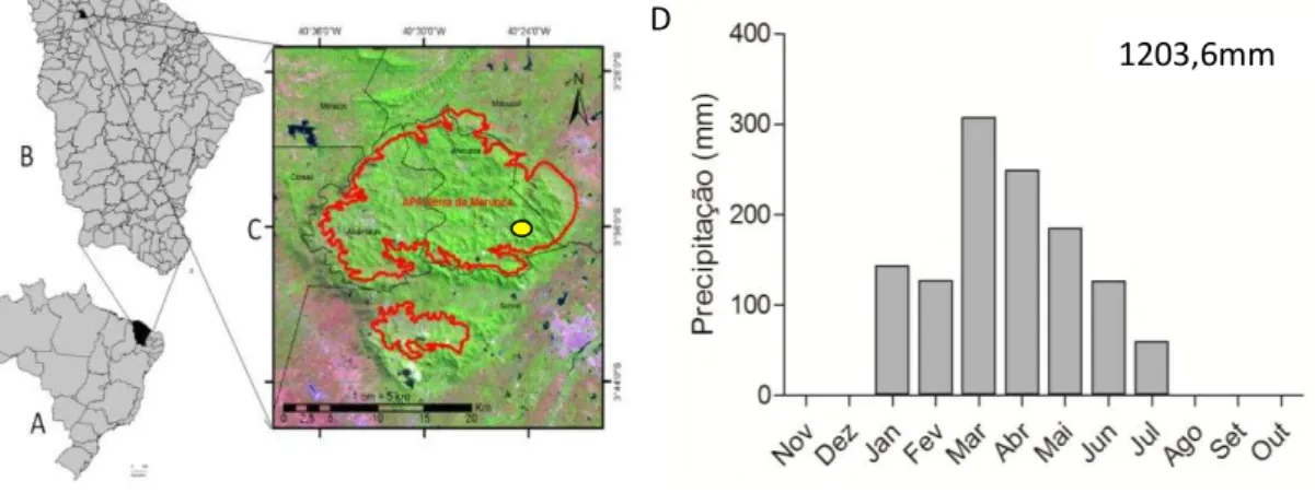 Figure  1.  Localização  da  área  de  estudo  (A-C).  A  área  de  proteção  ambiental  da  Serra  da  Meruoca  está  delimitada  pela  linha  em  vermelho