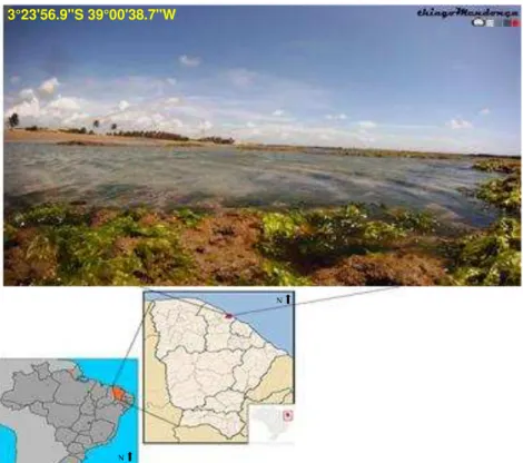 Figura 1 - Área de estudo: Praia da Pedra Rachada, Paracuru  –  Ceará  –  Brasil. 